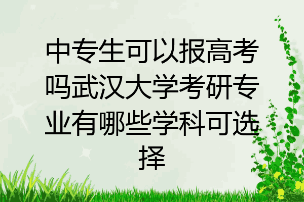 中专生可以报高考吗武汉大学考研专业有哪些学科可选择