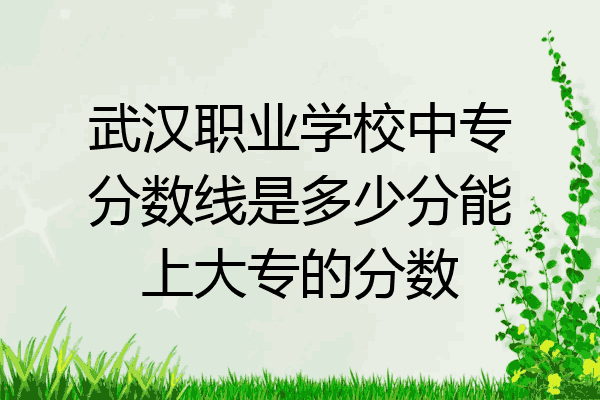武汉职业学校中专分数线是多少分能上大专的分数