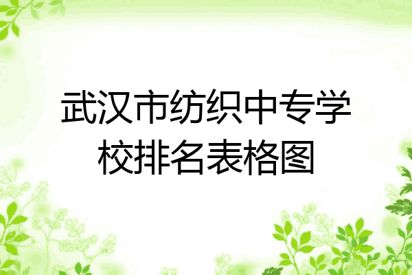 武汉市纺织中专学校排名表格图