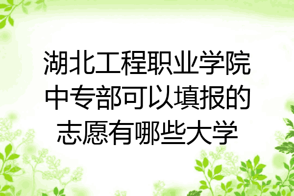湖北工程职业学院中专部可以填报的志愿有哪些大学