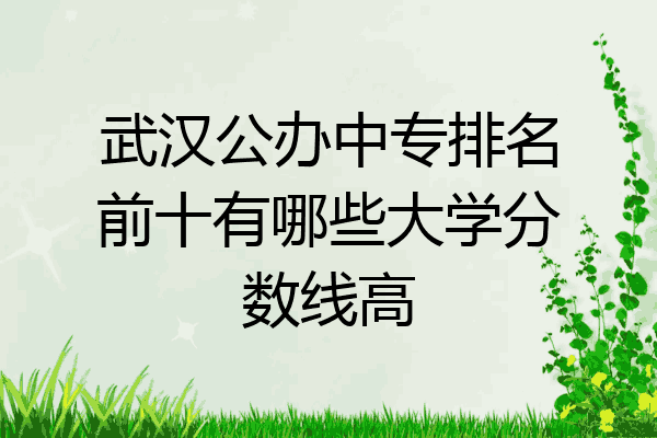 武汉公办中专排名前十有哪些大学分数线高