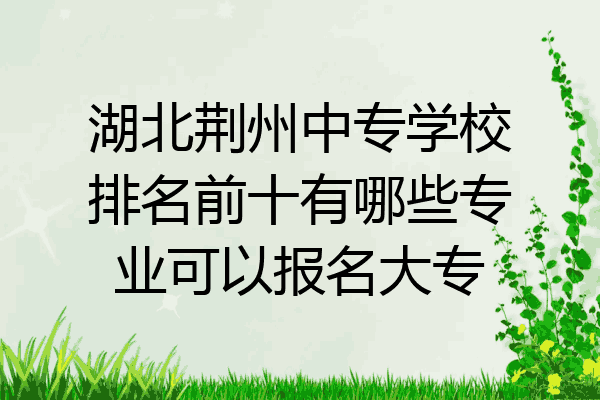 湖北荆州中专学校排名前十有哪些专业可以报名大专
