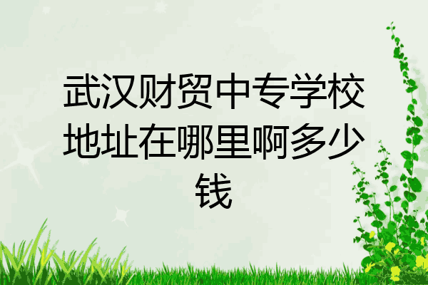 武汉财贸中专学校地址在哪里啊多少钱