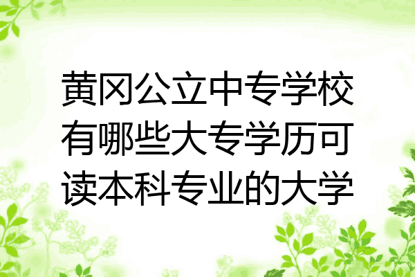 黄冈公立中专学校有哪些大专学历可读本科专业的大学