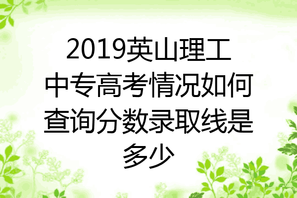 2019英山理工中专高考情况如何查询分数录取线是多少