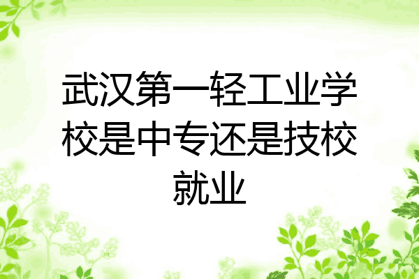 武汉第一轻工业学校是中专还是技校就业
