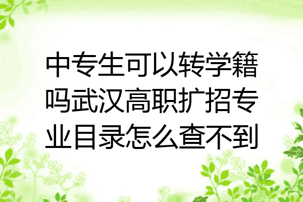 中专生可以转学籍吗武汉高职扩招专业目录怎么查不到
