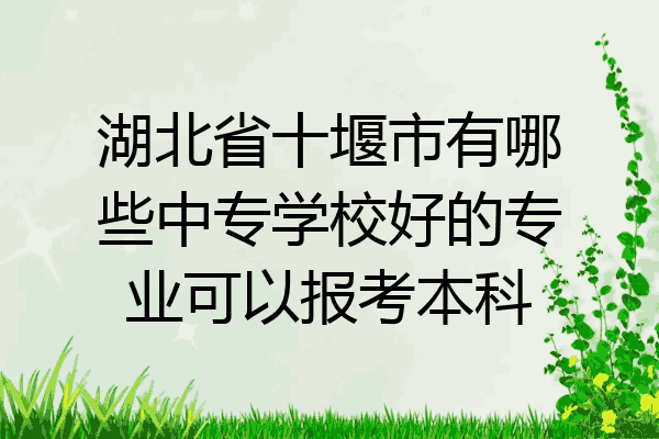 湖北省十堰市有哪些中专学校好的专业可以报考本科