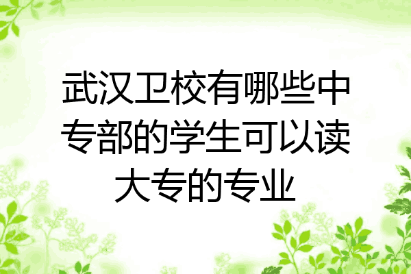 武汉卫校有哪些中专部的学生可以读大专的专业