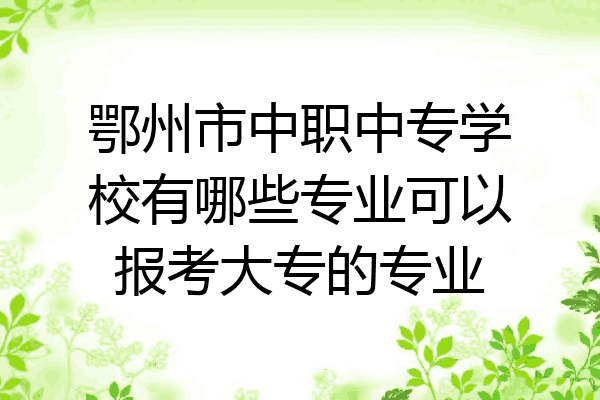 鄂州市中职中专学校有哪些专业可以报考大专的专业