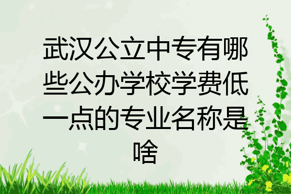 武汉公立中专有哪些公办学校学费低一点的专业名称是啥