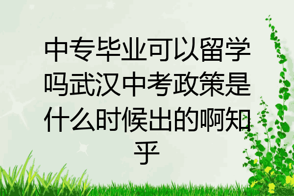 中专毕业可以留学吗武汉中考政策是什么时候出的啊知乎