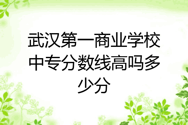 武汉第一商业学校中专分数线高吗多少分