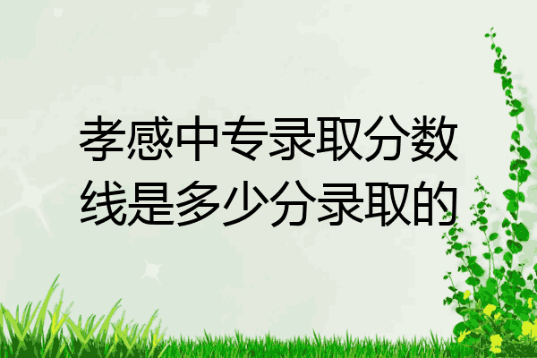 孝感中专录取分数线是多少分录取的