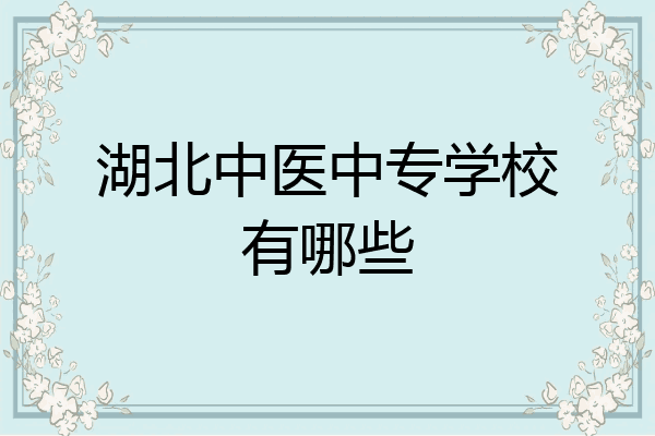 湖北中医中专学校有哪些