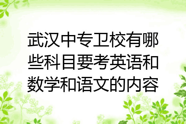 武汉中专卫校有哪些科目要考英语和数学和语文的内容