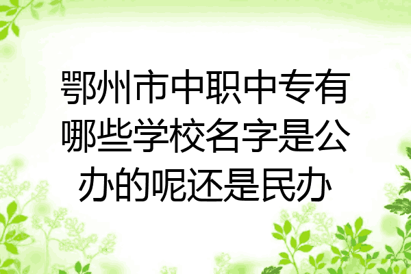 鄂州市中职中专有哪些学校名字是公办的呢还是民办