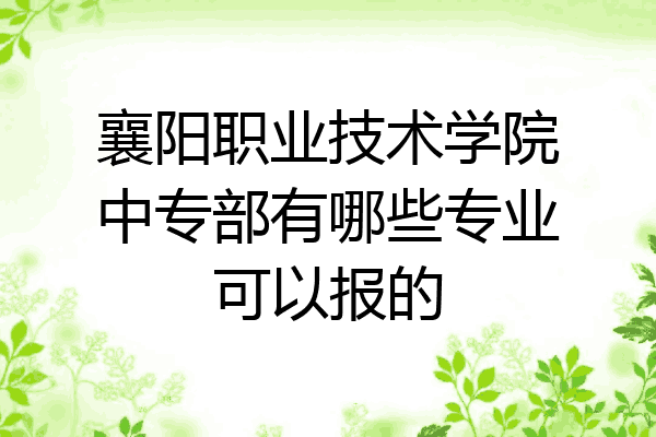 襄阳职业技术学院中专部有哪些专业可以报的
