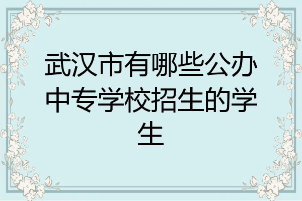 武汉市有哪些公办中专学校招生的学生