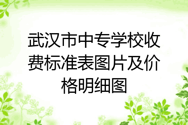武汉市中专学校收费标准表图片及价格明细图