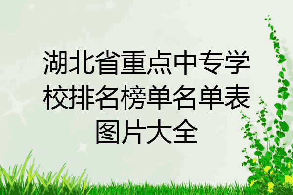 湖北省重点中专学校排名榜单名单表图片大全