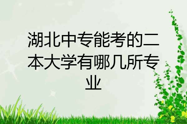 湖北中专能考的二本大学有哪几所专业