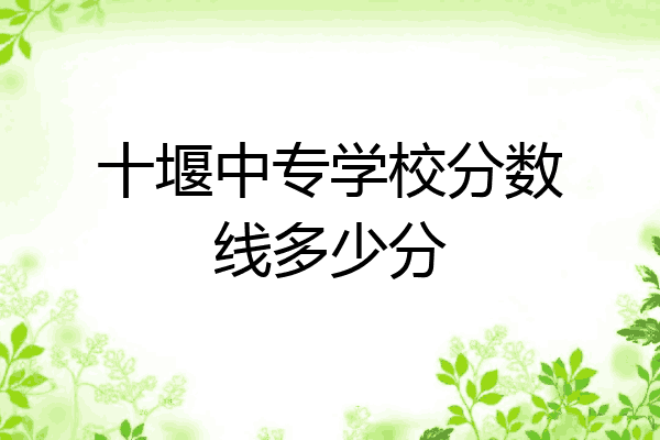 十堰中专学校分数线多少分