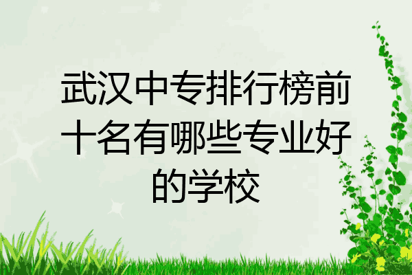 武汉中专排行榜前十名有哪些专业好的学校