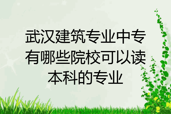 武汉建筑专业中专有哪些院校可以读本科的专业