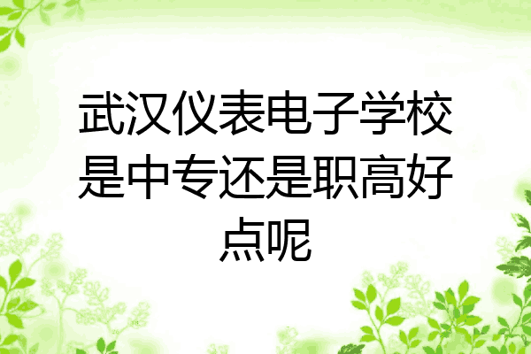 武汉仪表电子学校是中专还是职高好点呢
