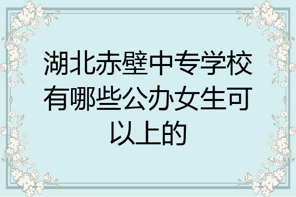 湖北赤壁中专学校有哪些公办女生可以上的