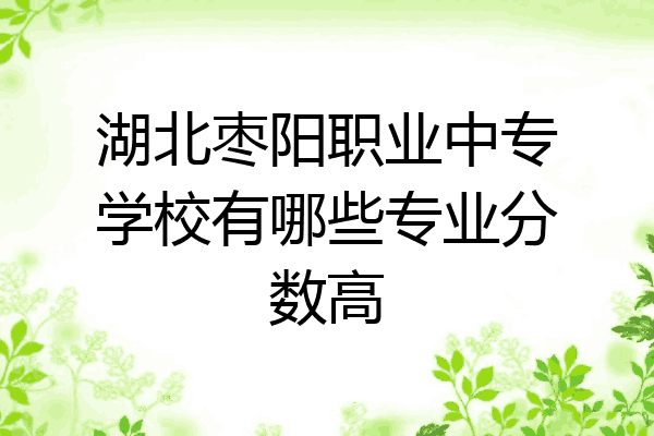 湖北枣阳职业中专学校有哪些专业分数高