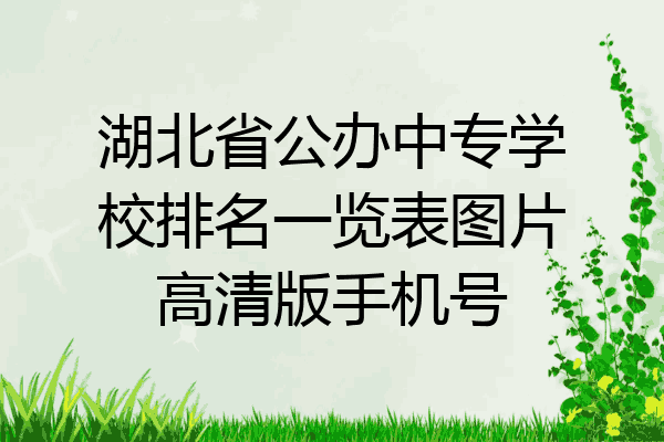 湖北省公办中专学校排名一览表图片高清版手机号
