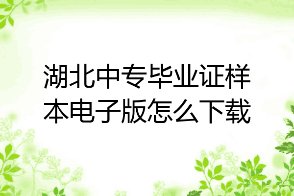 湖北中专毕业证样本电子版怎么下载