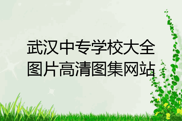 武汉中专学校大全图片高清图集网站
