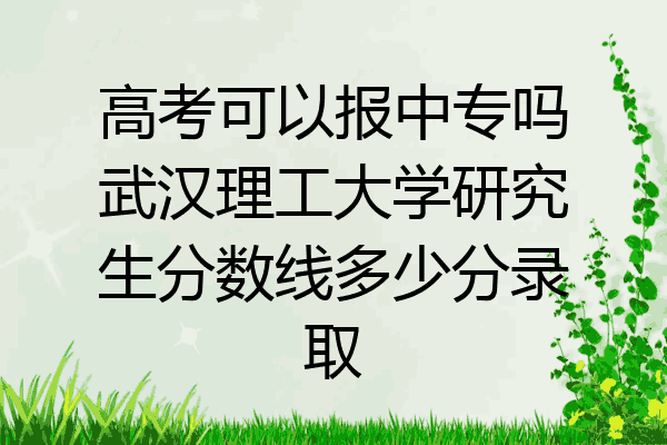 高考可以报中专吗武汉理工大学研究生分数线多少分录取