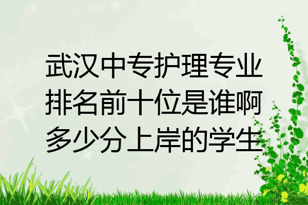 武汉中专护理专业排名前十位是谁啊多少分上岸的学生
