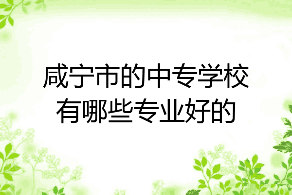 咸宁市的中专学校有哪些专业好的