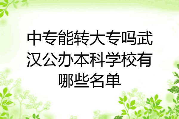 中专能转大专吗武汉公办本科学校有哪些名单