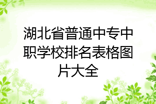 湖北省普通中专中职学校排名表格图片大全