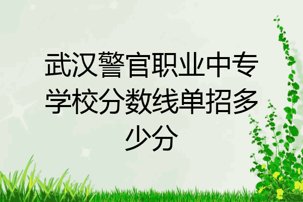 武汉警官职业中专学校分数线单招多少分