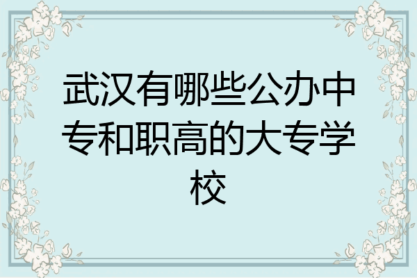 武汉有哪些公办中专和职高的大专学校