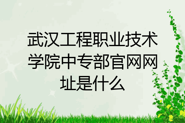 武汉工程职业技术学院中专部官网网址是什么