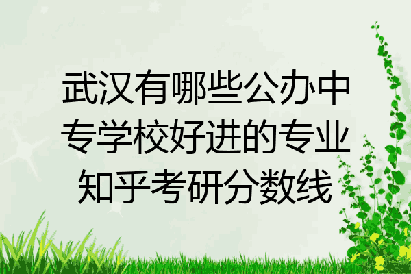 武汉有哪些公办中专学校好进的专业知乎考研分数线