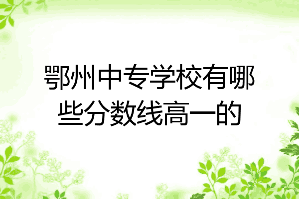 鄂州中专学校有哪些分数线高一的