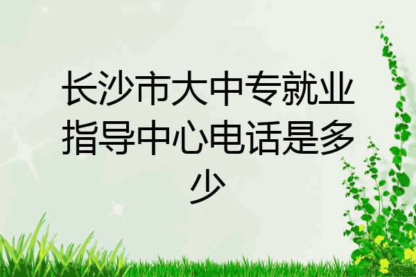 长沙市大中专就业指导中心电话是多少