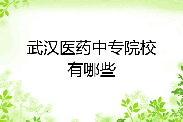 武汉医药中专院校有哪些