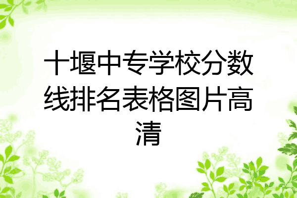 十堰中专学校分数线排名表格图片高清