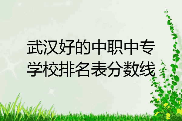 武汉好的中职中专学校排名表分数线