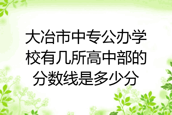 大冶市中专公办学校有几所高中部的分数线是多少分